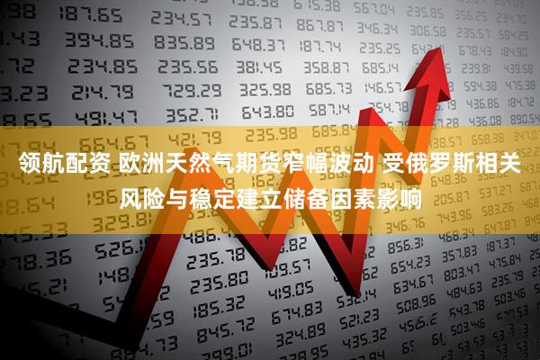 领航配资 欧洲天然气期货窄幅波动 受俄罗斯相关风险与稳定建立储备因素影响