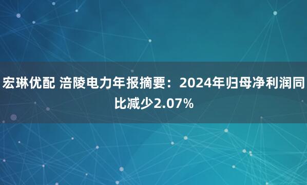 宏琳优配 涪陵电力年报摘要：2024年归母净利润同比减少2.07%