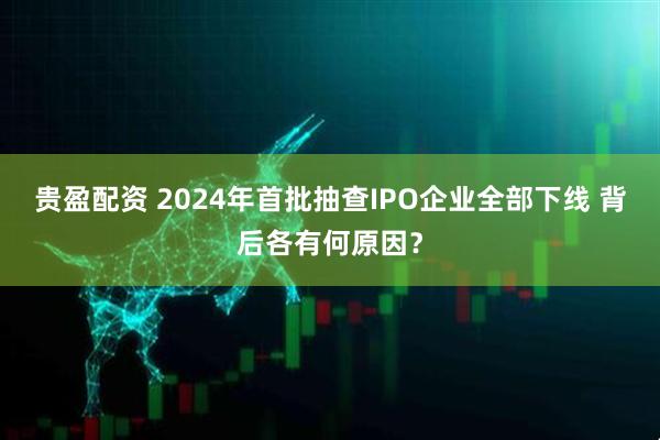 贵盈配资 2024年首批抽查IPO企业全部下线 背后各有何原因？