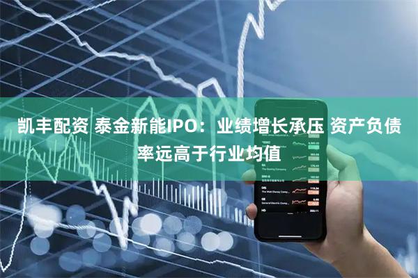 凯丰配资 泰金新能IPO：业绩增长承压 资产负债率远高于行业均值