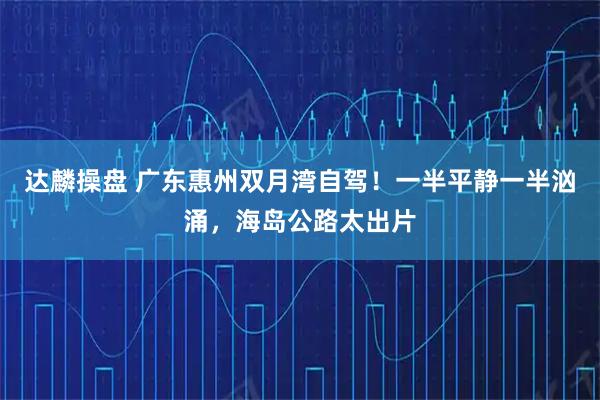 达麟操盘 广东惠州双月湾自驾！一半平静一半汹涌，海岛公路太出片