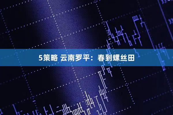 5策略 云南罗平：春到螺丝田
